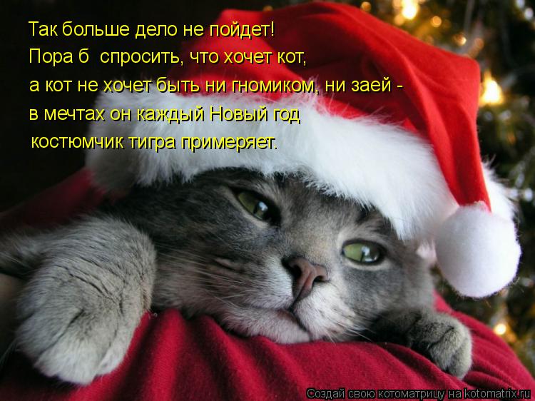 Котоматрица: Так больше дело не пойдет! Пора б  спросить, что хочет кот, а кот не хочет быть ни гномиком, ни заей -   в мечтах он каждый Новый год костюмчик т