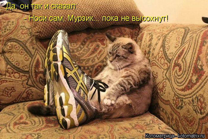 Котоматрица: Да, он так и сказал:  - Носи сам, Мурзик... пока не высохнут!