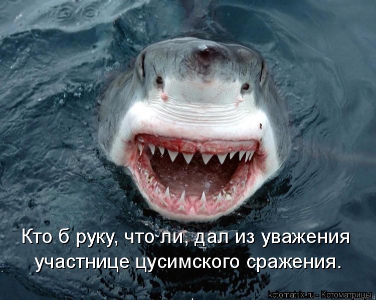Кто б руку, что ли, дал из уважения участнице цусимского сражения.... Котоматрица: Кто б руку, что ли, дал из уважения участнице цусимского сражения.