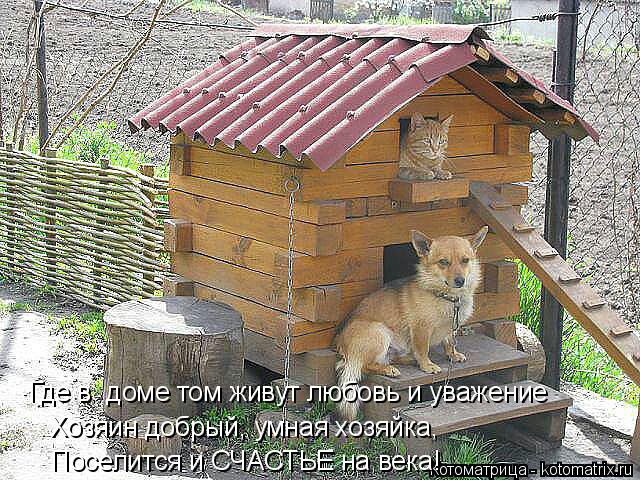 Котоматрица: Где в  доме том живут любовь и уважение Хозяин добрый, умная хозяйка,  Поселится и СЧАСТЬЕ на века!