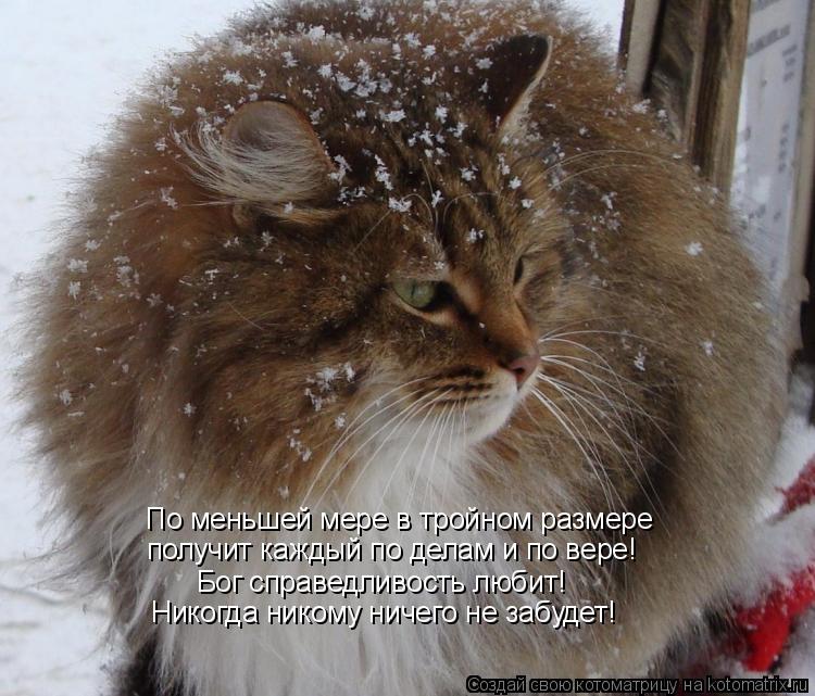 По меньшей мере в тройном размере получит каждый по делам и по вере! Бог справедливость любит! Никогд... Котоматрица: По меньшей мере в тройном размере получит каждый по делам и по вере! Бог справедливость любит! Никогда никому ничего не забудет!