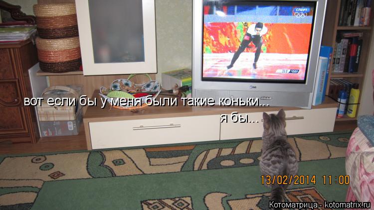 Котоматрица: вот если бы у меня были такие коньки... я бы...