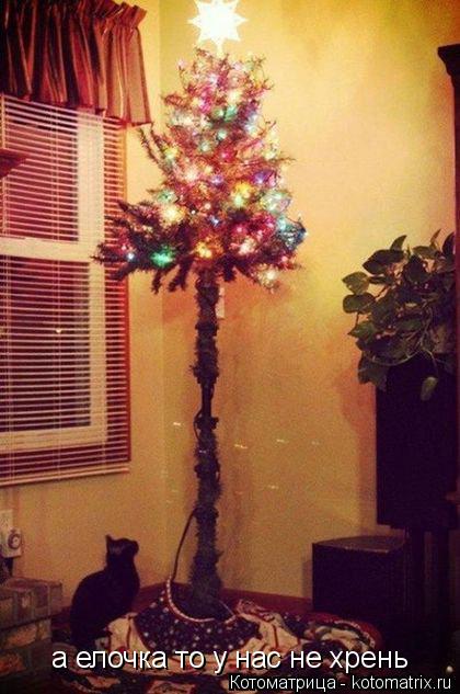 Котоматрица: а елочка то у нас не хрень