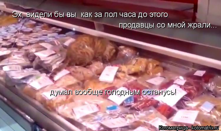 Котоматрица: Эх, видели бы вы  как за пол часа до этого продавцы со мной жрали... думал вообще голодным останусь!