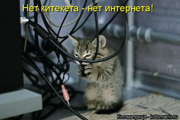 Котоматрица: Нет китекета - нет интернета!