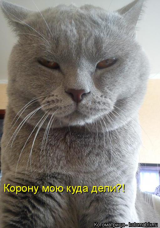 Котоматрица: Корону мою куда дели?!