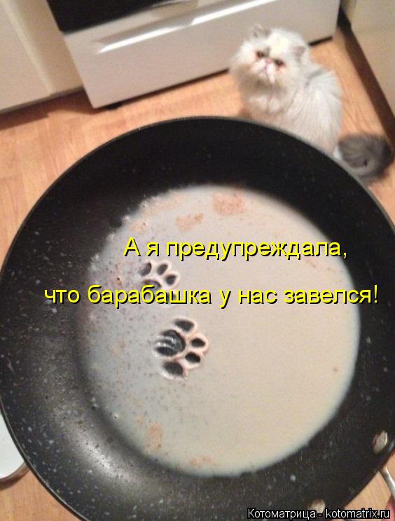 Котоматрица: А я предупреждала, что барабашка у нас завелся!