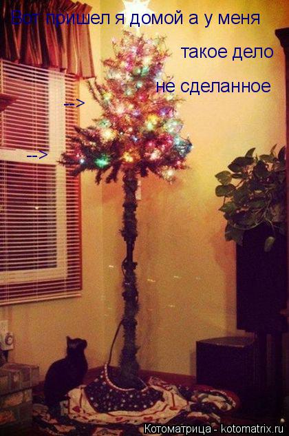 Котоматрица: такое дело не сделанное Вот пришел я домой а у меня --> -->
