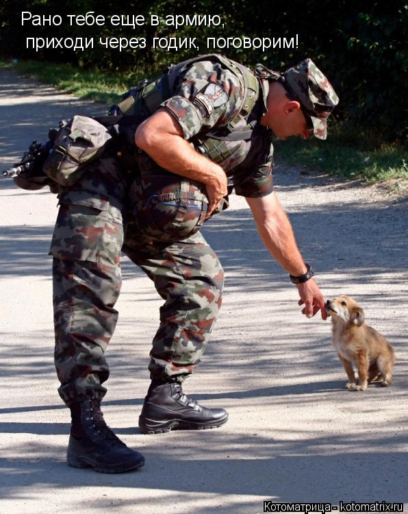 Котоматрица: Рано тебе еще в армию, приходи через годик, поговорим!
