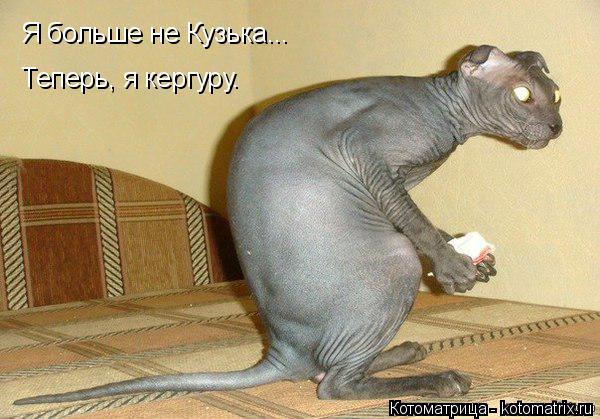 Котоматрица: Я больше не Кузька... Теперь, я кергуру.