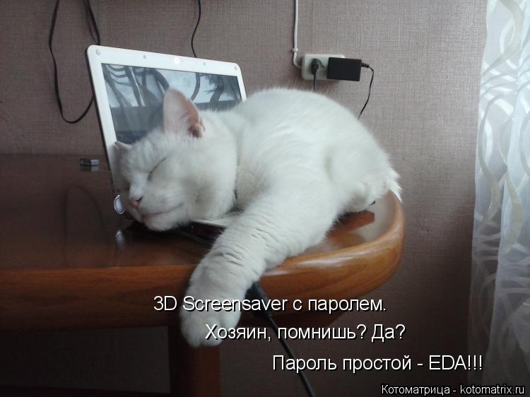 Котоматрица: 3D Screensaver с паролем. Хозяин, помнишь? Да? Пароль простой - EDA!!!