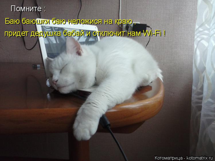 Котоматрица: Помните : Баю баюшки баю неложися на краю , придет дедушка бабай и отключит нам Wi-Fi !