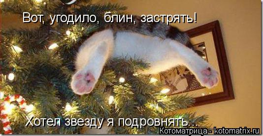 Котоматрица: Вот, угодило, блин, застрять! Хотел звезду я подровнять...