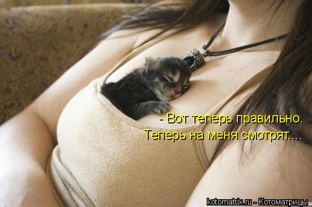 Котоматрица: - Вот теперь правильно.  Теперь на меня смотрят....