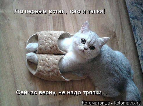 Котоматрица: Кто первым встал, того и тапки! Сейчас верну, не надо тряпки...