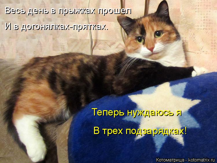Котоматрица: Весь день в прыжках прошел И в догонялках-прятках. Теперь нуждаюсь я В трех подзарядках!