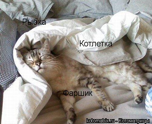 Котоматрица: Рыбка Котлетка Фаршик