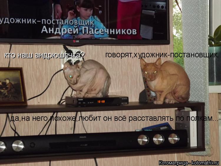 Котоматрица: кто наш андрюшечка? говорят,художник-постановщик. да,на него похоже,любит он всё расставлять по полкам...