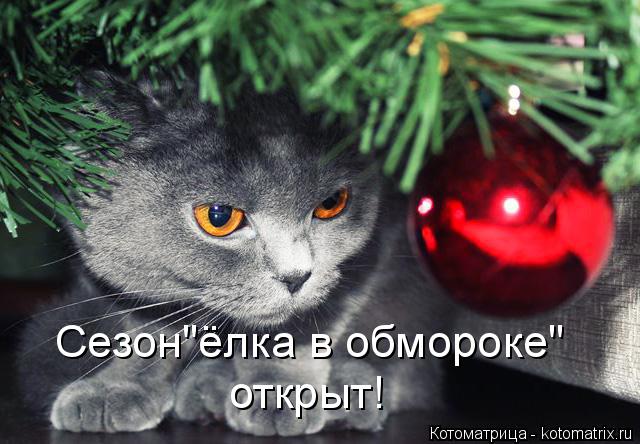 Котоматрица: Сезон"ёлка в обмороке" открыт!