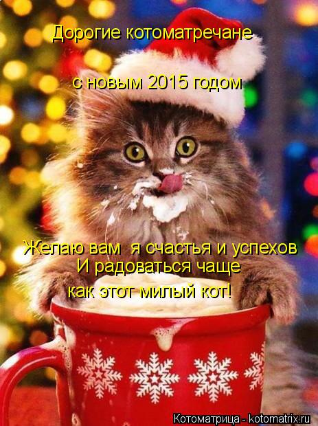 Котоматрица: Дорогие котоматречане с новым 2015 годом Желаю вам  я счастья и успехов И радоваться чаще   как этот милый кот!