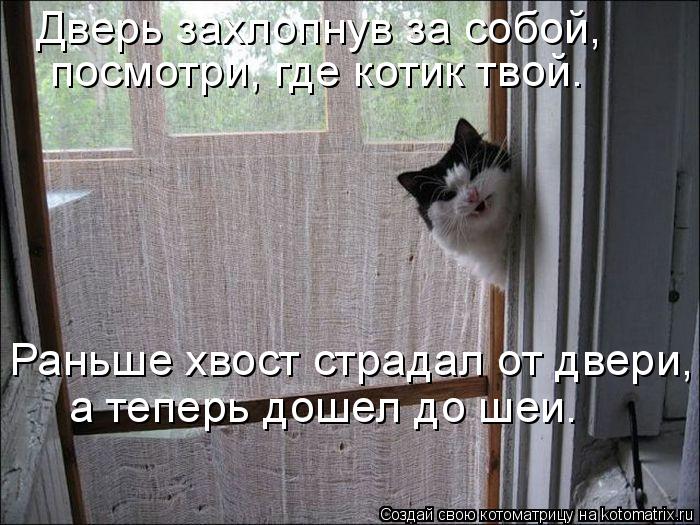 Котоматрица: Дверь захлопнув за собой, посмотри, где котик твой. Раньше хвост страдал от двери, а теперь дошел до шеи.