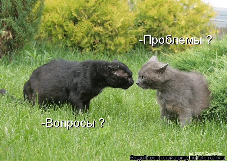 Котоматрица: -Проблемы ? -Вопросы ?