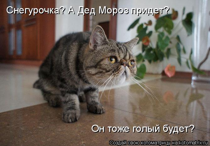 Снегурочка? А Дед Мороз придет? Он тоже голый будет?... Котоматрица: Снегурочка? А Дед Мороз придет? Он тоже голый будет?