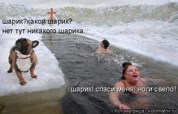 Котоматрица: шарик! спаси меня! ноги свело! шарик?какой шарик? нет тут никакого шарика.