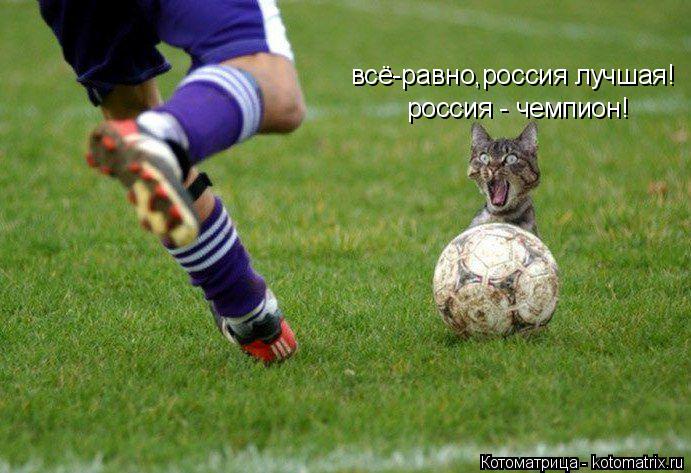 Котоматрица: всё-равно,россия лучшая!  россия - чемпион!