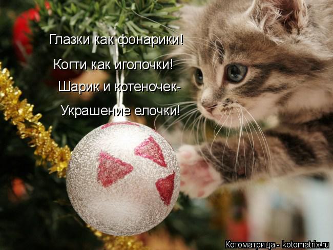 Котоматрица: Глазки как фонарики! Когти как иголочки! Шарик и котеночек- Украшение елочки! Украшение елочки!