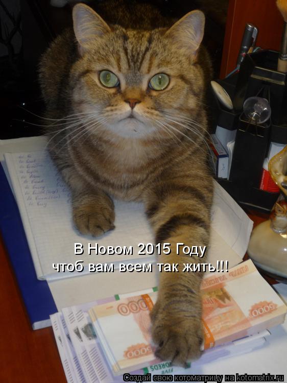 Котоматрица: В Новом 2015 Году  чтоб вам всем так жить!!!