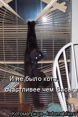 Котоматрица: И не было кота, счастливее чем Васька!