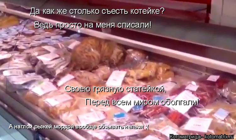 Котоматрица: Да как же столько съесть котейке? Ведь просто на меня списали! Своею грязную статейкой, Перед всем миром оболгали! А наглой рыжей мордой воо