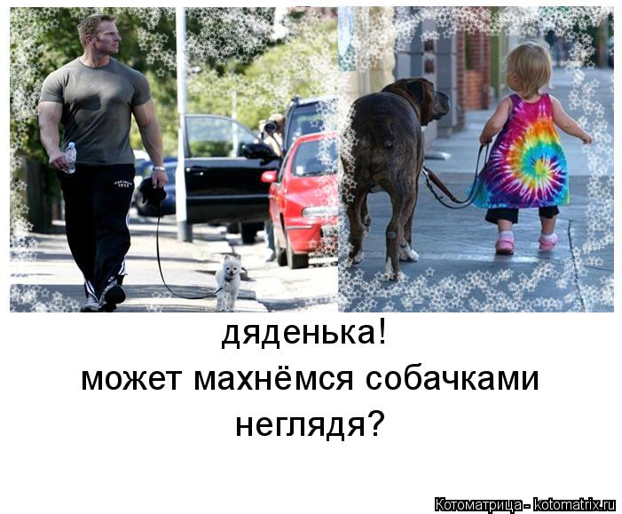 Котоматрица: дяденька!   может махнёмся собачками   неглядя?