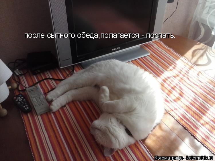 Котоматрица: после сытного обеда,полагается - поспать.