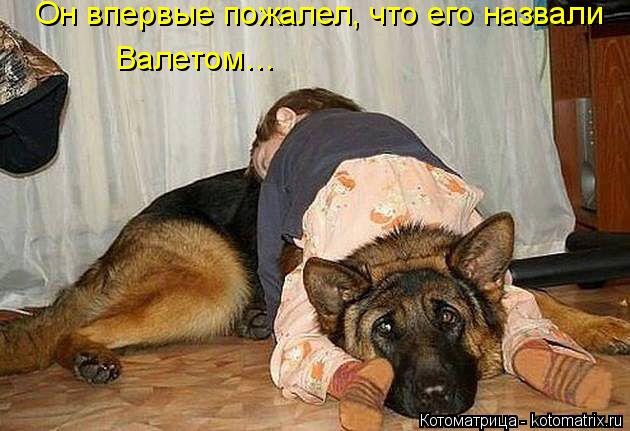 Котоматрица: Он впервые пожалел, что его назвали Валетом…