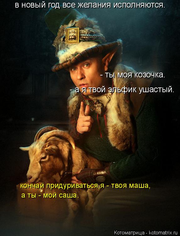 Котоматрица: в новый год все желания исполняются. - ты моя козочка. - а я твой эльфик ушастый. кончай придуриваться,я - твоя маша, а ты - мой саша.