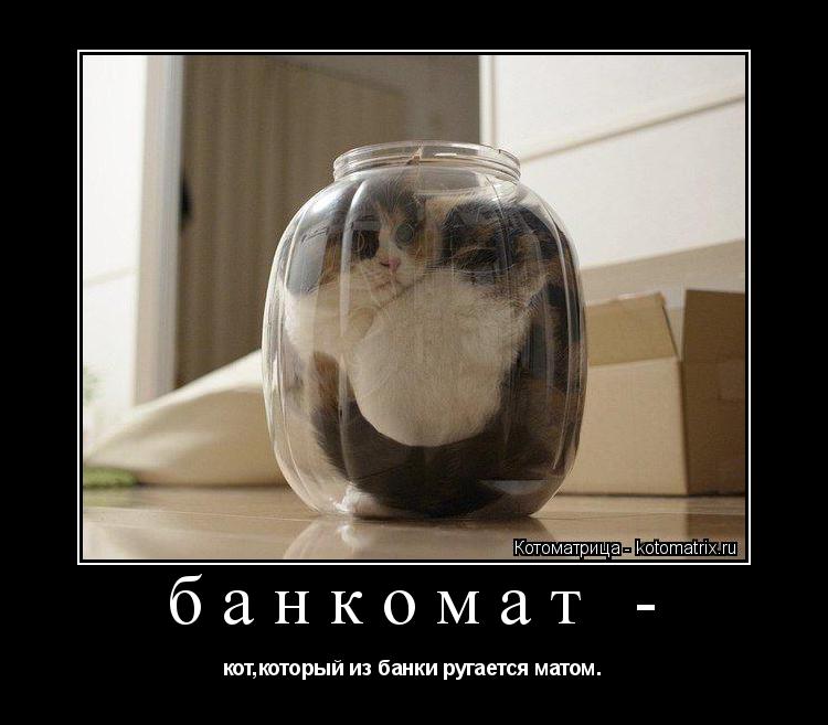 Котоматрица: банкомат -  кот,который из банки ругается матом.
