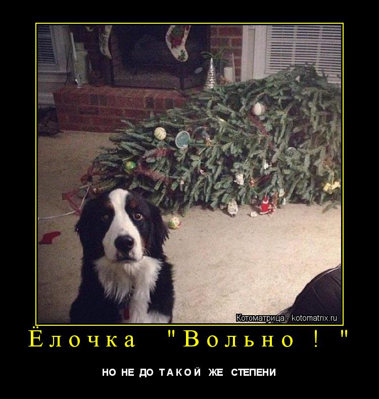 Ёлочка "Вольно ! " НО НЕ ДО Т А К О Й ЖЕ СТЕПЕНИ... Котоматрица: Ёлочка "Вольно ! " НО НЕ ДО Т А К О Й ЖЕ СТЕПЕНИ