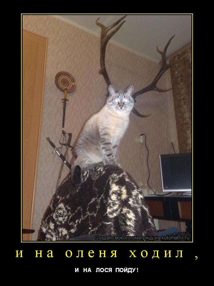 Котоматрица: и на оленя ходил , И   НА   ЛОСЯ  ПОЙДУ !