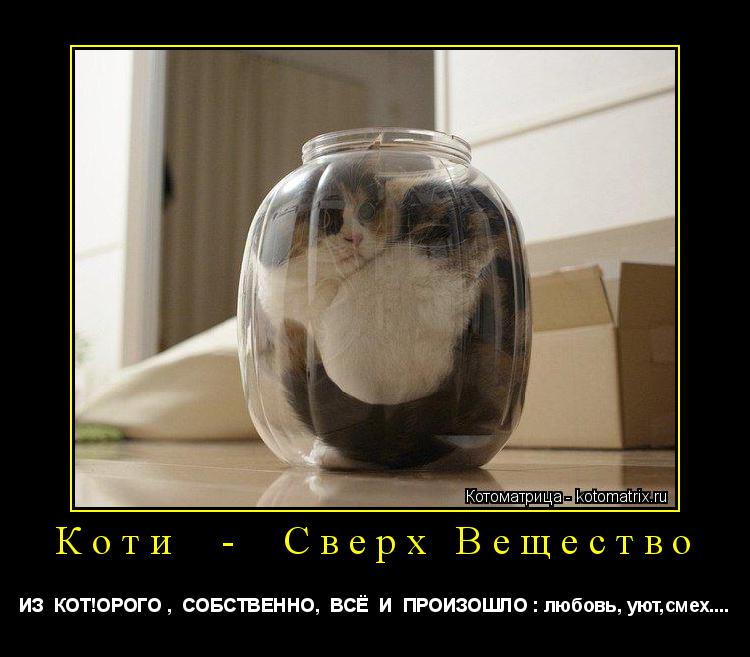 Котоматрица: Коти  -  Сверх Вещество   ИЗ  КОТ!ОРОГО ,  СОБСТВЕННО,  ВСЁ  И  ПРОИЗОШЛО : любовь, уют,смех....