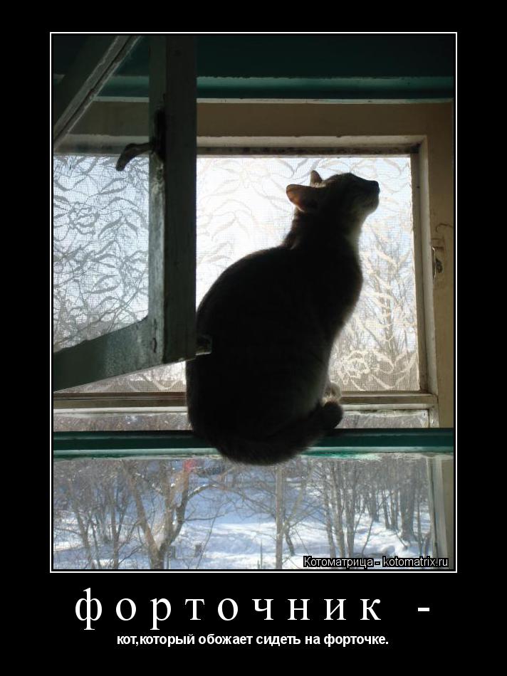 Котоматрица: форточник - кот,который обожает сидеть на форточке.