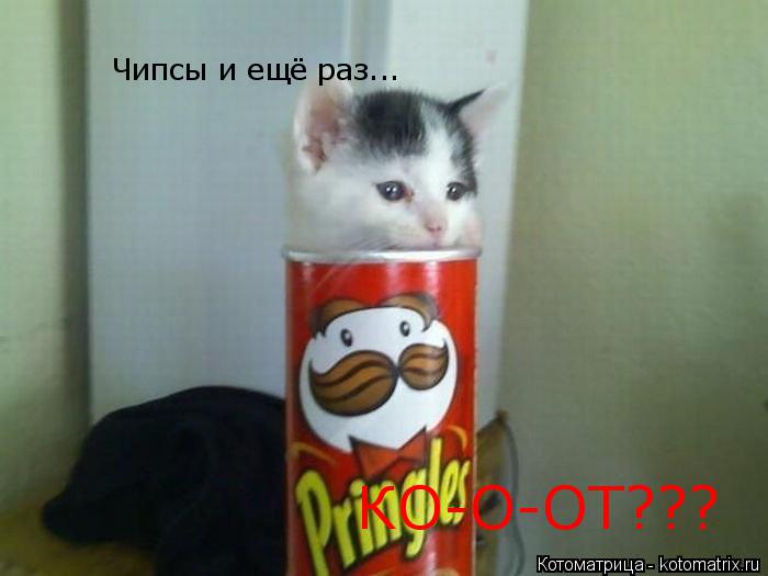 Чипсы и ещё раз... КО-О-ОТ???... Котоматрица: Чипсы и ещё раз... КО-О-ОТ???