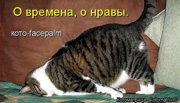 Котоматрица: О времена, о нравы. кото-facepalm