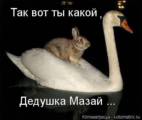 Котоматрица: Так вот ты какой Дедушка Мазай ... ,