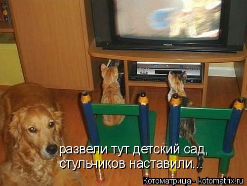 Котоматрица: развели тут детский сад, стульчиков наставили...