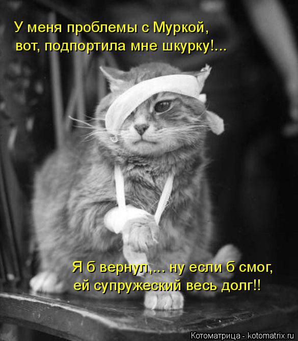 Котоматрица: У меня проблемы с Муркой,  вот, подпортила мне шкурку!... Я б вернул,... ну если б смог, ей супружеский весь долг!!
