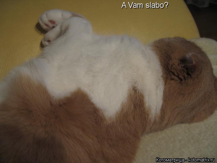 A Vam slabo?... Котоматрица: A Vam slabo?