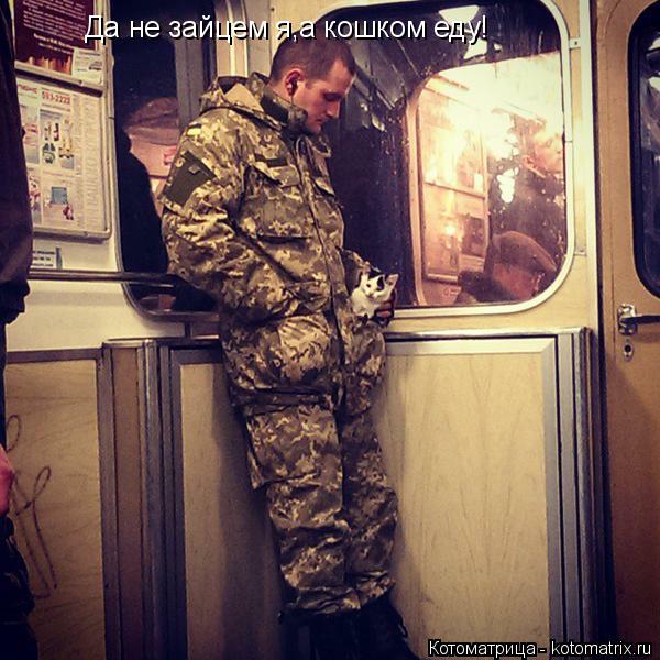 Да не зайцем я,а кошком еду!... Котоматрица: Да не зайцем я,а кошком еду!