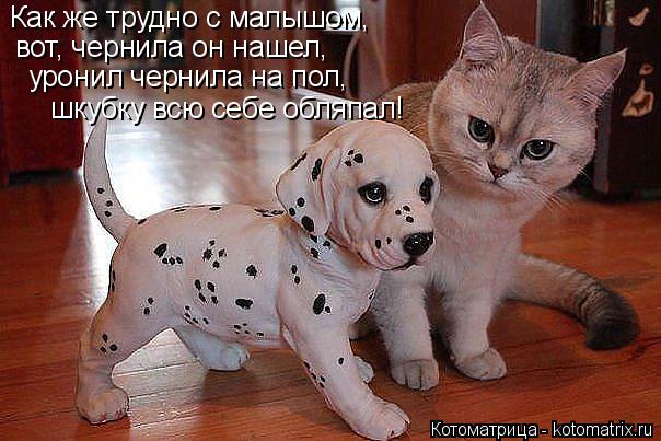 Котоматрица: Как же трудно с малышом, вот, чернила он нашел, уронил чернила на пол, шкубку всю себе обляпал!